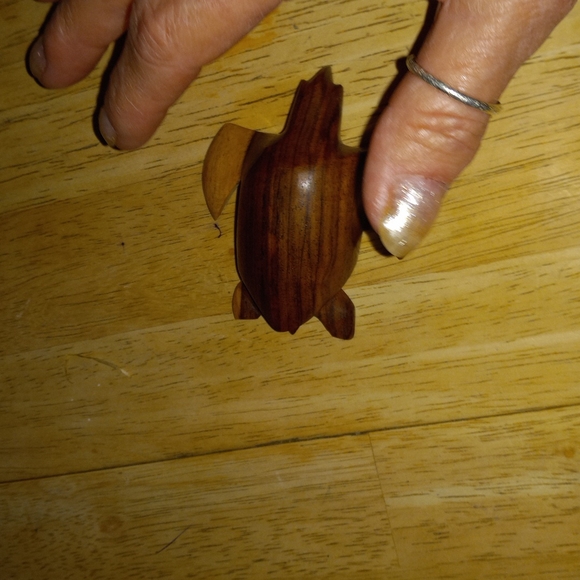 Turtle - Picture 3 of 3